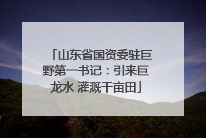 山东省国资委驻巨野第一书记：引来巨龙水 灌溉千亩田